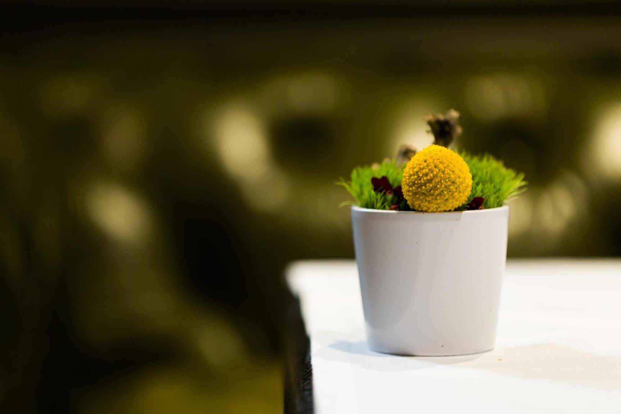 La Cour Des Consuls Hotel And Spa Toulouse - Mgallery Bagian luar foto